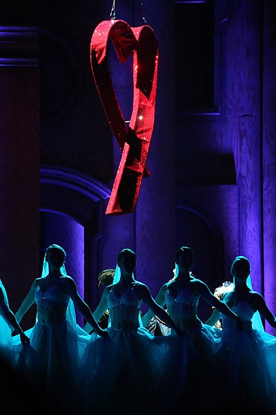 File:Life Ball 2013 - opening show 027.jpg