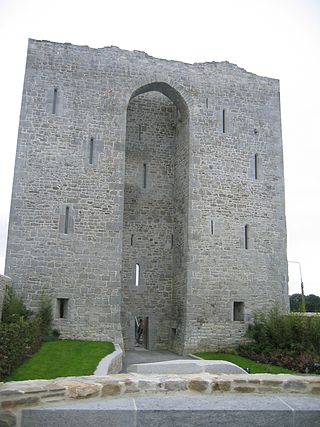 <span class="mw-page-title-main">Listowel Castle</span> Castle in County Kerry, Ireland