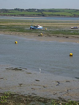 Little egret at Padstow - geograph.org.uk - 1532125