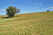 Čeština: Louky na kopci zápdně od Strání, okres Uherské Hradiště