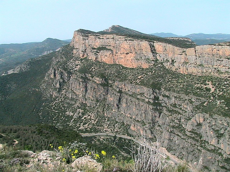 File:MONT-ROIG - CAMARASA - IB-981.JPG