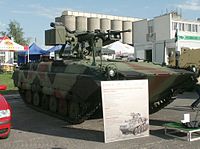 ポーランド軍のBMP-1に搭載されたサムソン RCWS-30。