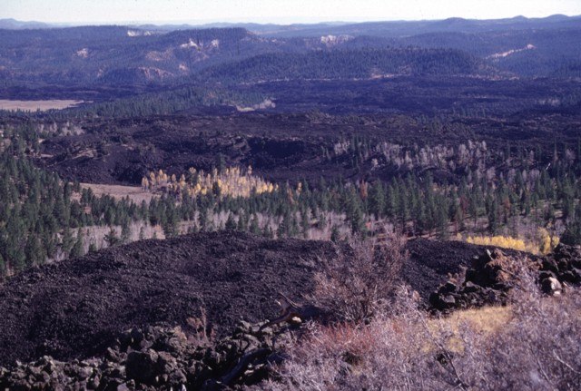 Dixie National Forest- Wikipedia