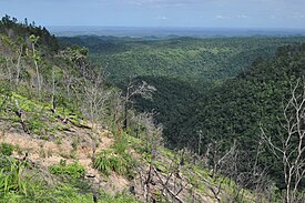 Maya Dağları, Cayo Bölgesi, Belize.jpg