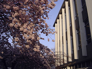 The McPherson Library at the University of Victoria McPhersonLibrary-UVic-blossoms.jpg