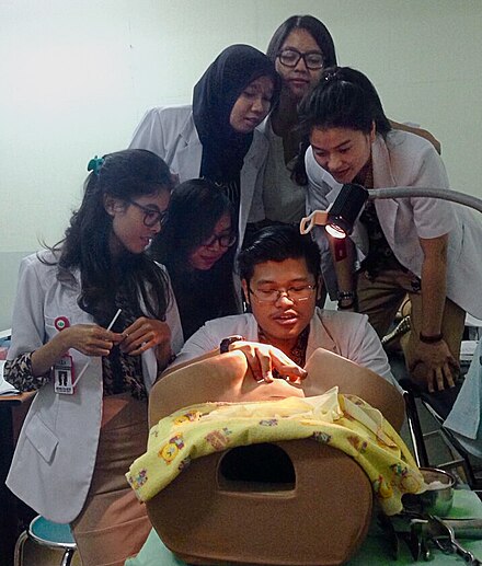 A group of Indonesian medical students of Trisakti University trains with an obstetric mannequin.