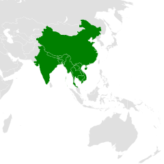 Microhierax caerulescens distribution map.svg