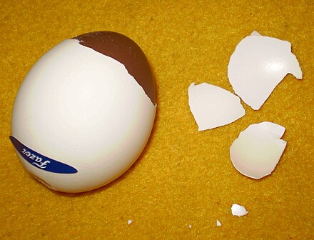 Egg wiki. Fazer яйцо шоколадное. Шоколадные яйца в скорлупе. Шоколадные яйца Фазер. Шоколадные яйца с миндалем.