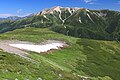 北ノ俣岳から望む薬師岳、左奥に奥大日岳と剱岳、雪解け後の斜面にハクサンイチゲの大群落とハイマツの群落
