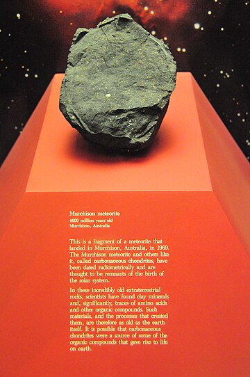 File:Murchison meteorite.jpg