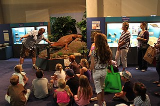 <span class="mw-page-title-main">National Dinosaur Museum</span> Museum in Canberra, Australia