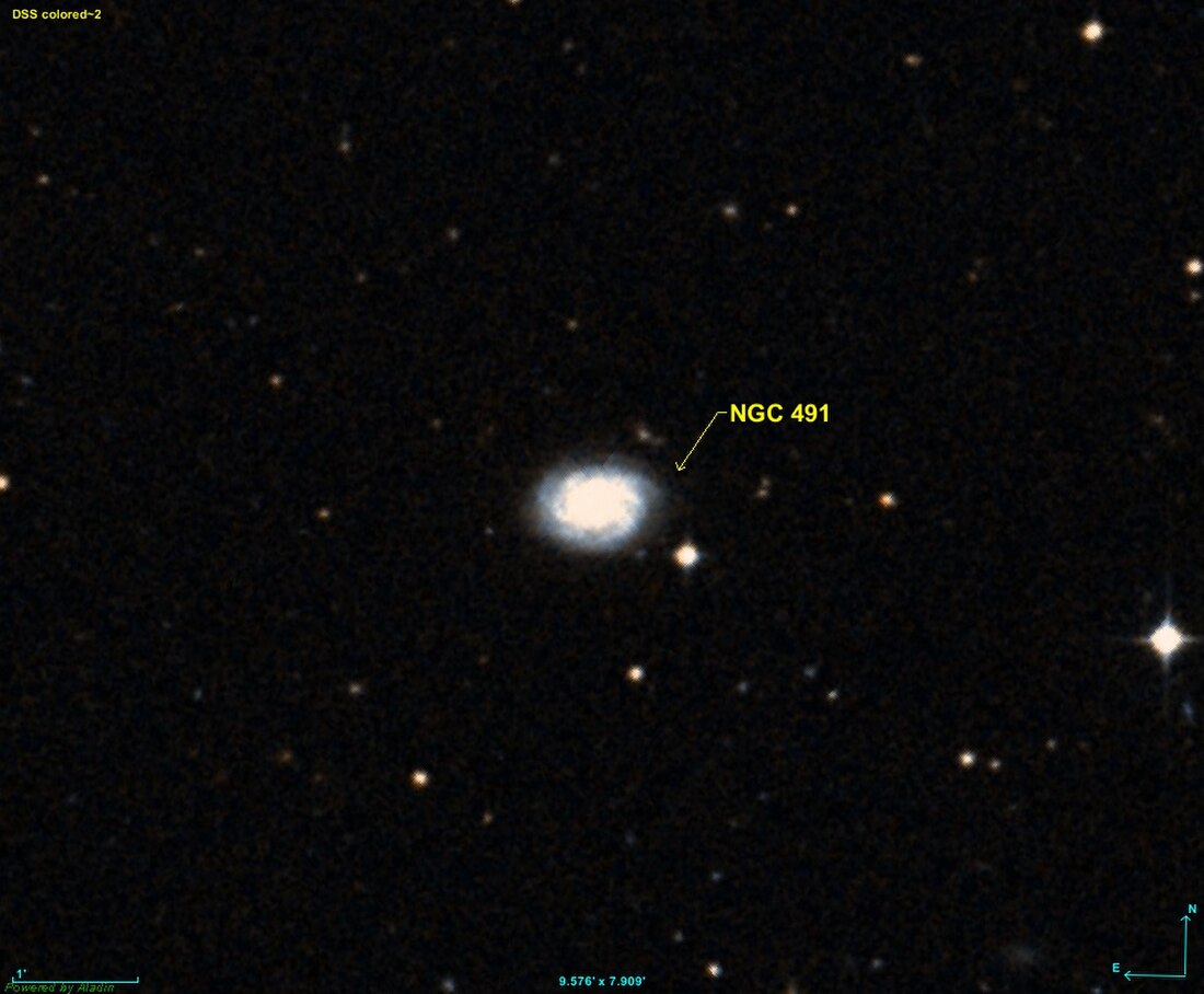 NGC 491