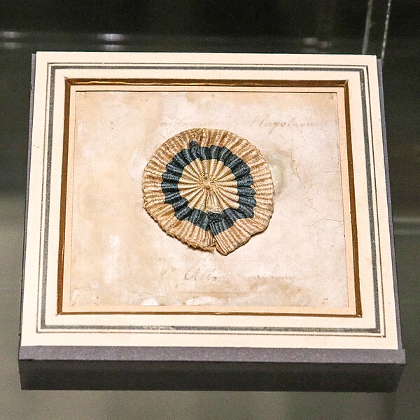 File:Napoleon's hat cockade.jpg