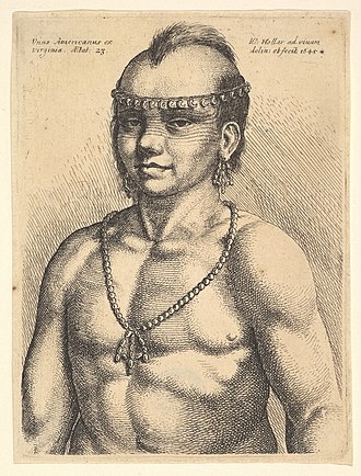 1645 portrait of a captive in Antwerp by Wenceslaus Hollar. There is no portrait of Penhawitz, and so the Museum of the City of New York uses this image in its permanent exhibition "New York At Its Core". Native American Indian, "Unus Americanus ex Virginia" MET DP823993.jpg