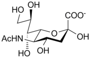 Neuraminsav.