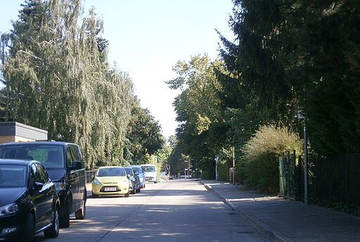 Neukölln Rudow Schwertlilienweg P8250034 (8)