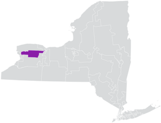 <span class="mw-page-title-main">New York's 61st State Senate district</span> American legislative district