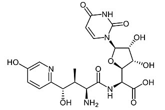 Structure of nikkomycin Z Nikkomycin Z.jpg