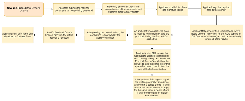 File:Non Professional Driver's License.png