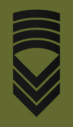 Distinksjon for sersjantmajor i Hæren