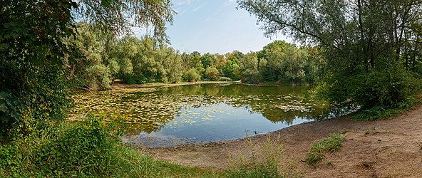 Lake Oberwald, Oberwald, Karlsruhe