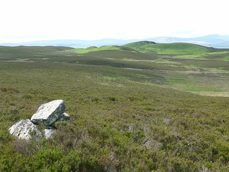 File:On Miller's Causeway - geograph.org.uk - 4551014.jpg