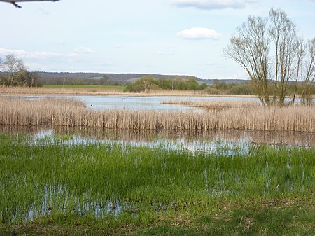 P1090678 Roßweiher Bli v SW Ufer Ri NO 03