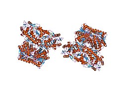 PDB 1o02 EBI.jpg