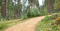 Padasjoki - path 2.jpg