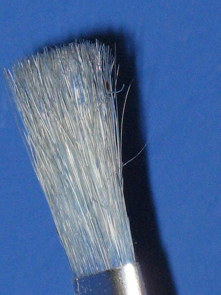 File:Paintbrush (747111858).jpg