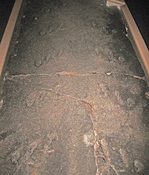 File:Palmichnium kosinskiorum (eurypterid tracks).jpg