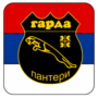 Миниатюра для Файл:Panthers.png