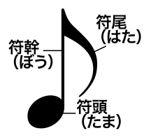 音符の各部名称