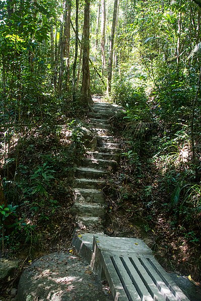 File:Penang National Park - panoramio.jpg