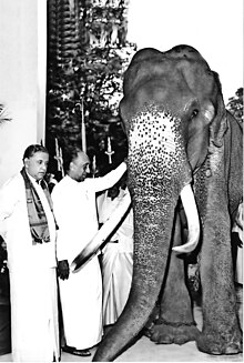 Fotografía de Raja (elefante) con Hon JR Jayewardene y Dr. Nissanka Wijeyeratne.jpg