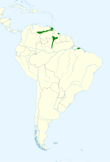 Picumnus spilogaster map.svg