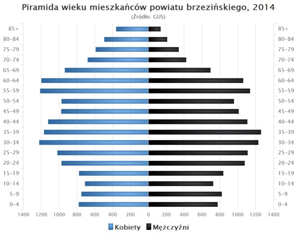 Piramida wieku powiat brzezinski.png