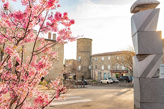 Ouverture de porte Grigny (69520)