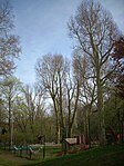 6 plane trees on Hartmühlenweg