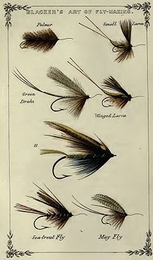 Plate 14 - Plate of Larvas and Green Drakes (1855) Plate 14 Blackers Plate of Larvas and Green Drakes.JPG