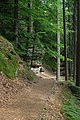 Čeština: Turistická stezka v Pravčickém dole, Českosaské Švýcarsko, CZ English: A footpath in Pravčický důl, Českosaské Švýcarsko National Park, CZ