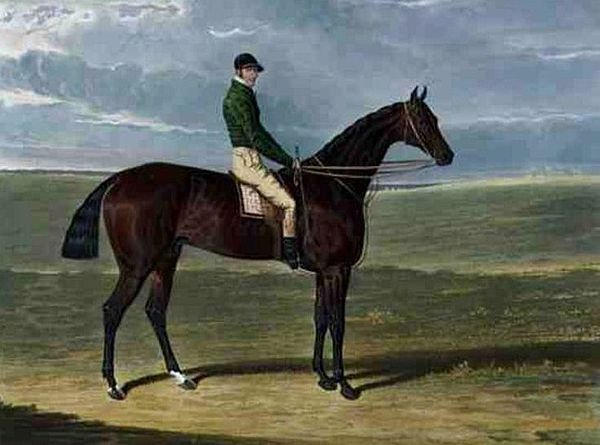 Priam. Painting by John Frederick Herring, Sr.