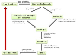 Doença Renal Crônica