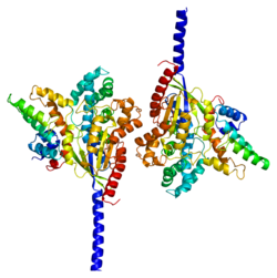 Ақуыз GNAI3 PDB 1agr.png