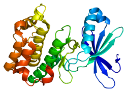 Протеин PRKAA2 PDB 2h6d.png