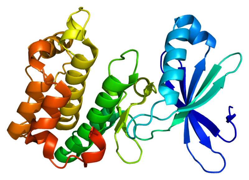 File:Protein PRKAA2 PDB 2h6d.png