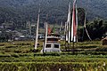 Punakha-Chime Lhakhang-20-Gebetsmuehle-Fahnen-2015-gje.jpg