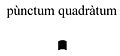 punctum quadratum.JPG