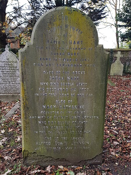 File:Putney Lower Common Cemetery 20191117 125435 (49079141821).jpg