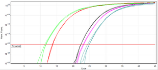 SYBR Green fluorescence chart produced in real-time PCR Qpcr-cycling.png